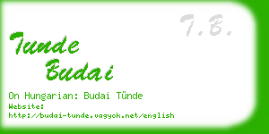 tunde budai business card